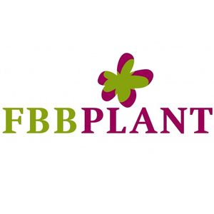 FBB Plant