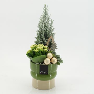 Arrangement Christmas