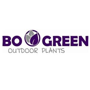 BOGREEN Outdoor Plants