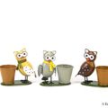 Pot 6 cm