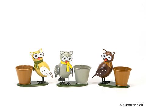 Pot 6 cm