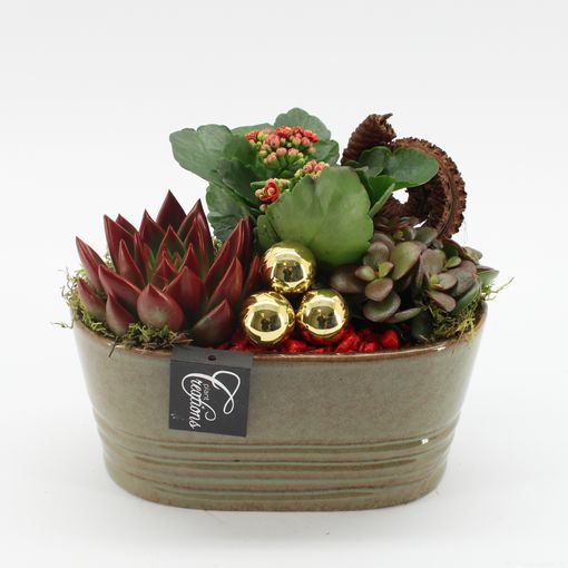 Arrangement Kerst