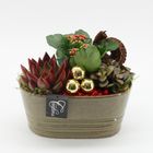 Arrangement Kerst