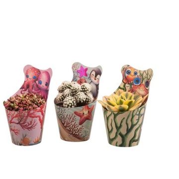 Cactus / Succulents MIX Cactus / Succulents MIX