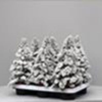 Arrangement Kerst