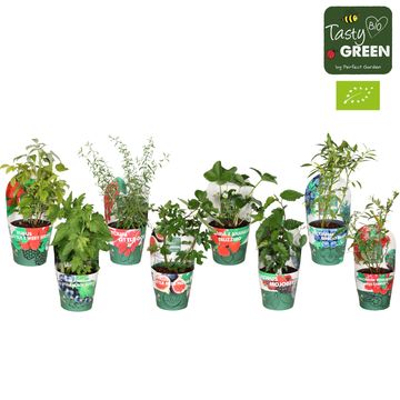 Plantas frutíferas MIX