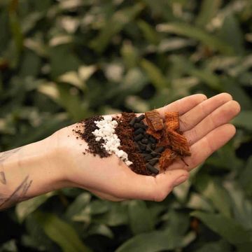 Substrates AROID MIX