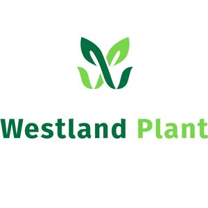 Westland Plant