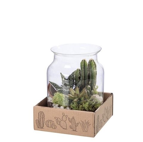 Аранжування Cactus/Succulent