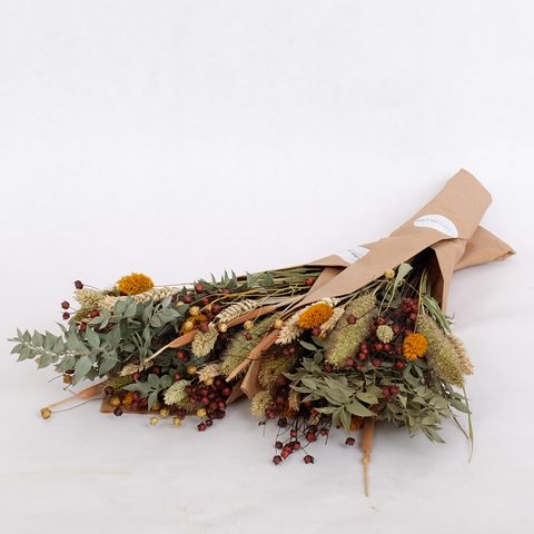 Dried Flowers MIX — Plant Wholesale FlorAccess