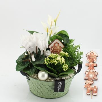 Arrangement Christmas