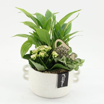 Arrangement Essentials