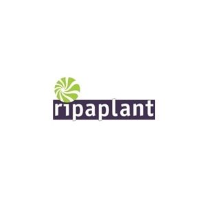 Ripa plant