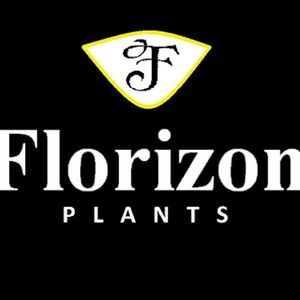 Florizon