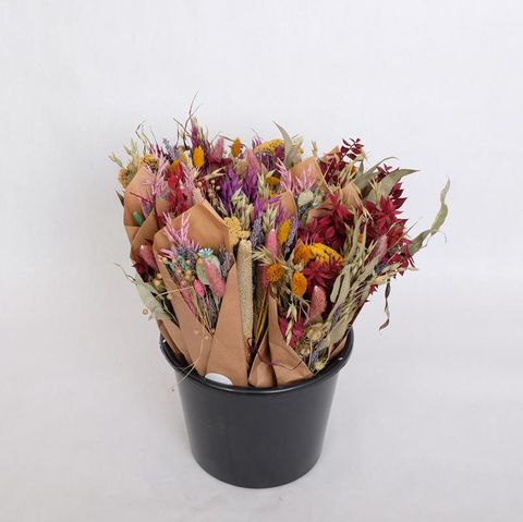 Fiori secchi MIX — Vendita all'ingrosso piante FlorAccess