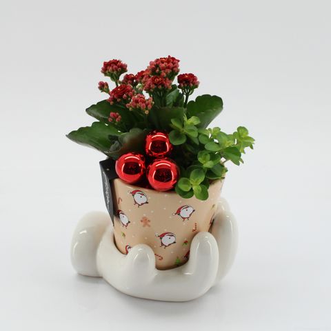 Arrangement Christmas