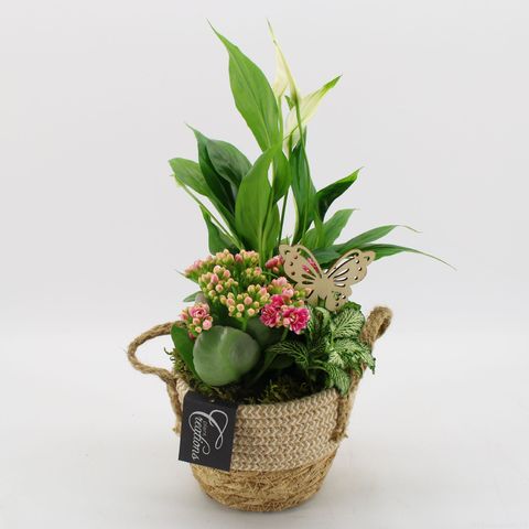 Arrangement Basic Fundamentals