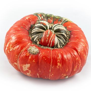 Cucurbita maxima TURK'S TURBAN MIX