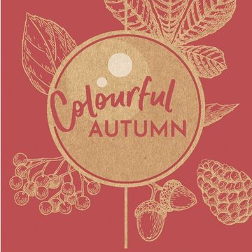 Symphoricarpos MAGICAL SWEET