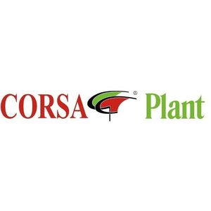 Corsa plant