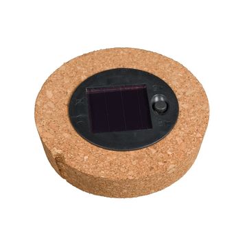 Arrangement Terrarium