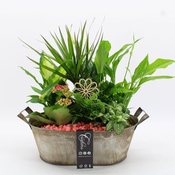 Arrangement Basic Fundamentals