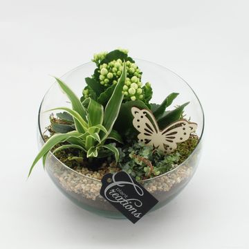 Arrangement Essentials