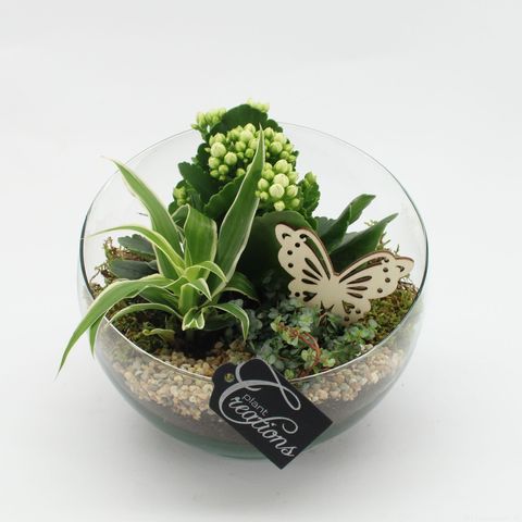 Arrangement Essentials