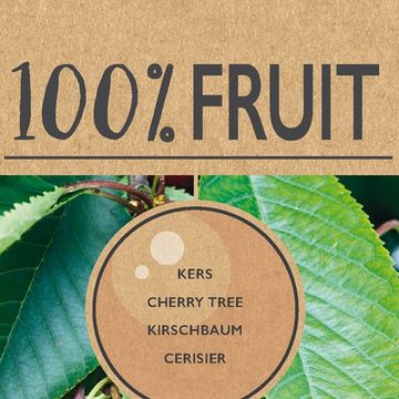 Prunus avium 'Stella'