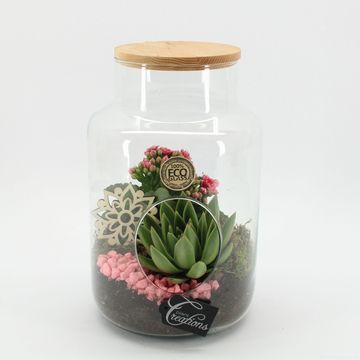 Arrangement Essentials Terrarium