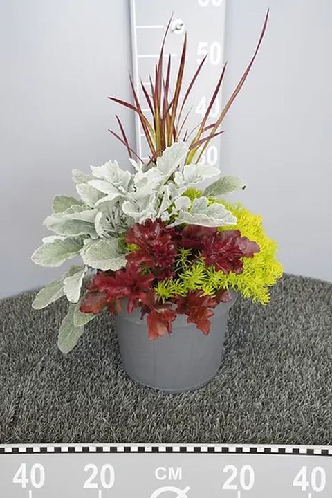 Composizione Autunno