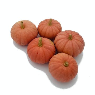 Cucurbita maxima 'Miss Sophie Pink'