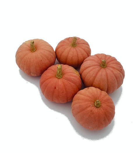 Cucurbita maxima 'Miss Sophie Pink'