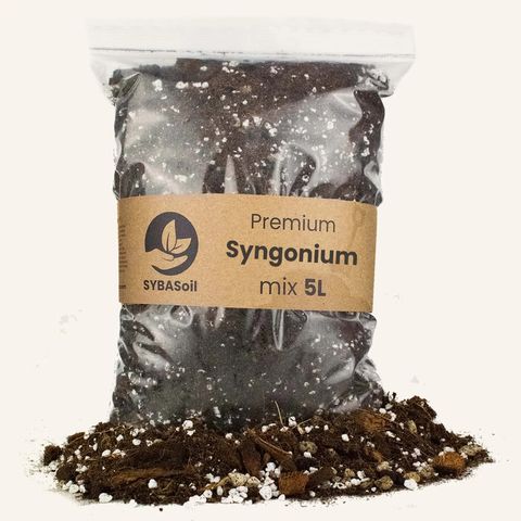 Non plants Substrates 'SYNGONIUM MIX'