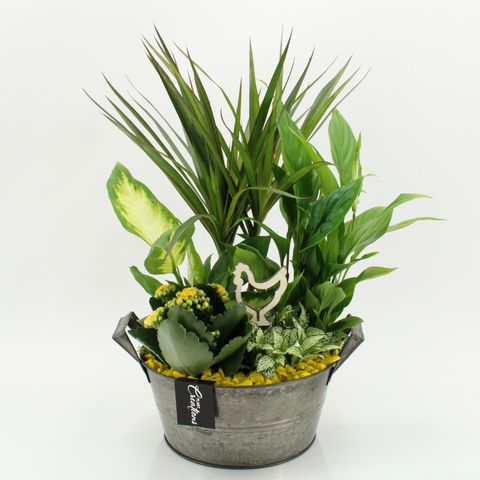 Kомпозиции Пасха