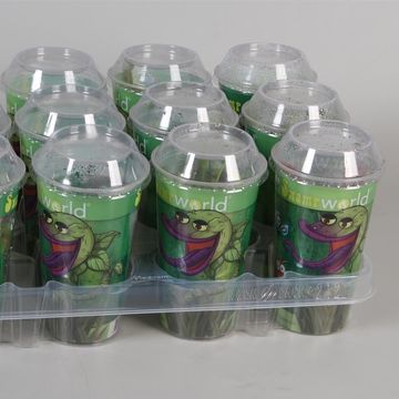 Carnivorous plants MIX