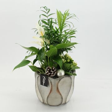 Arrangement Christmas