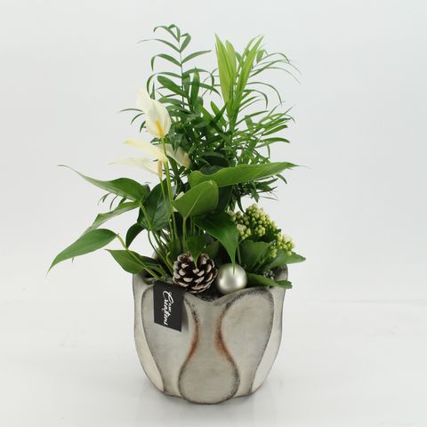 Arrangement Christmas