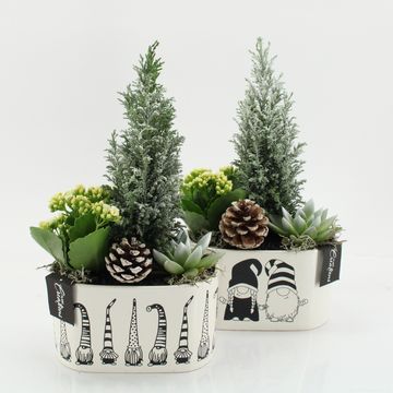 Arrangement Christmas