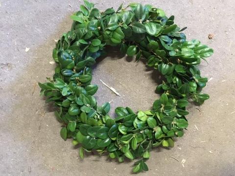 Christmas wreath