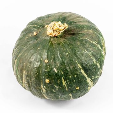 Cucurbita maxima 'Sweet Mama'