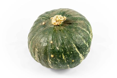 Cucurbita maxima 'Sweet Mama'