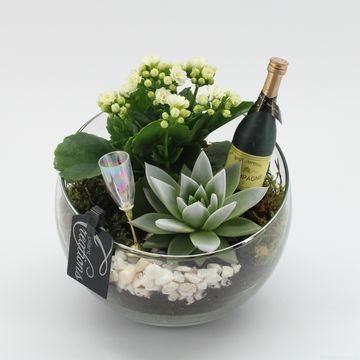 Arrangement New Year