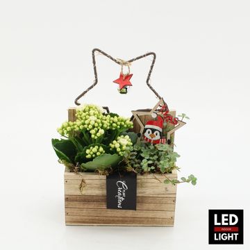 Arrangement Christmas