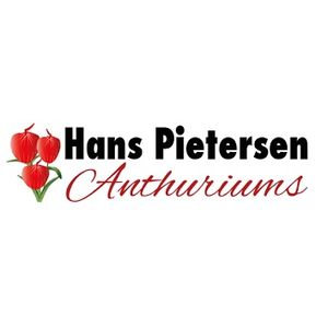 Pietersen Anthuriums