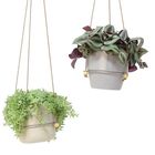 Plantas o interior MIX