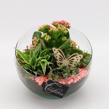 Arrangement Essentials