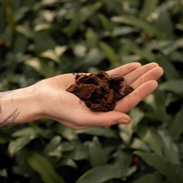 Substrates ORCHID BARK FINE