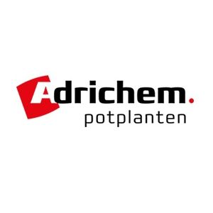 Adrichem Potplanten