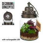 Arrangement Terrarium